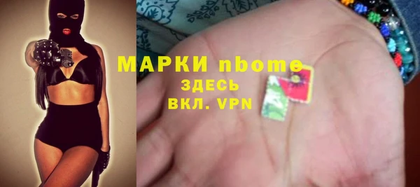 мдпв Елабуга