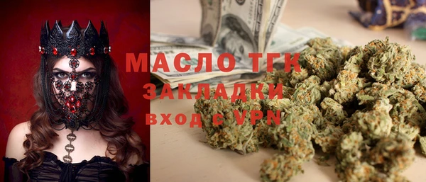 мдпв Елабуга