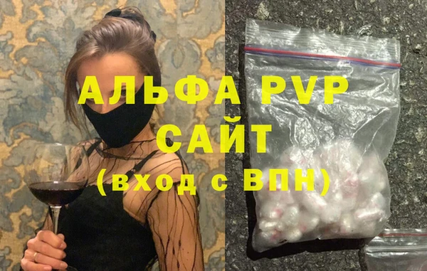 мдпв Елабуга