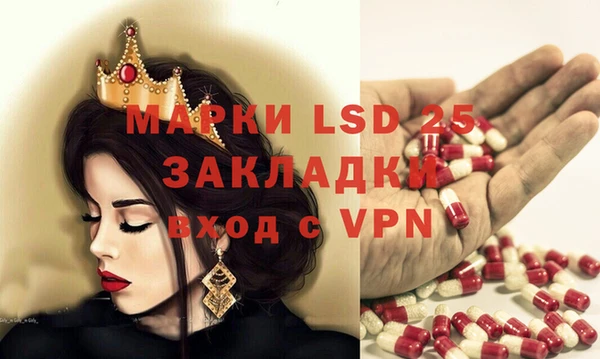 мдпв Елабуга