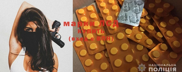 мдпв Елабуга