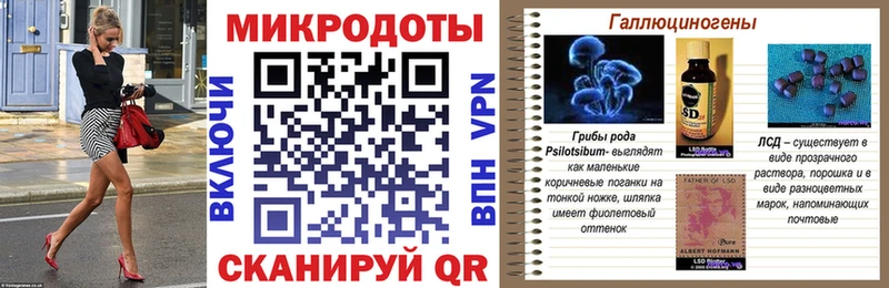 Псилоцибиновые грибы Cubensis  Купить закладки  Межгорье 